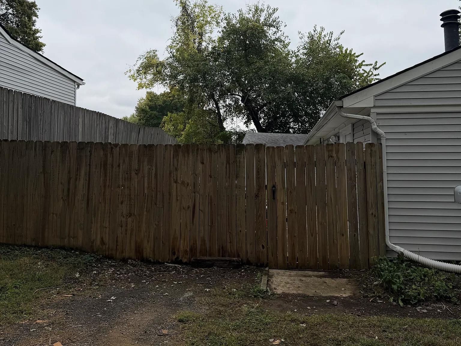3 bed, 1250 sqft, $1,699 — Photo 2