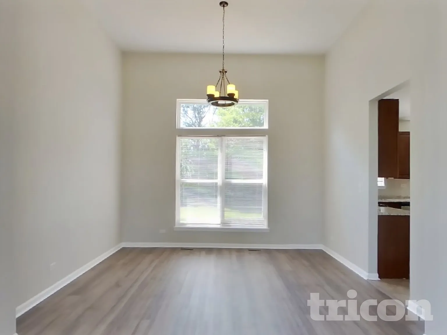 231 Paradise Parkway Oswego IL — Photo 4
