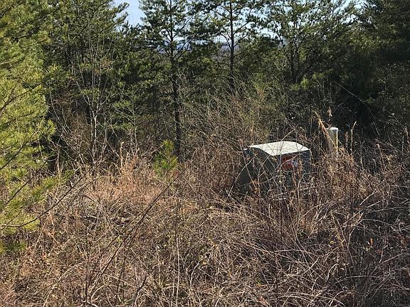 5th image of Jones Dr