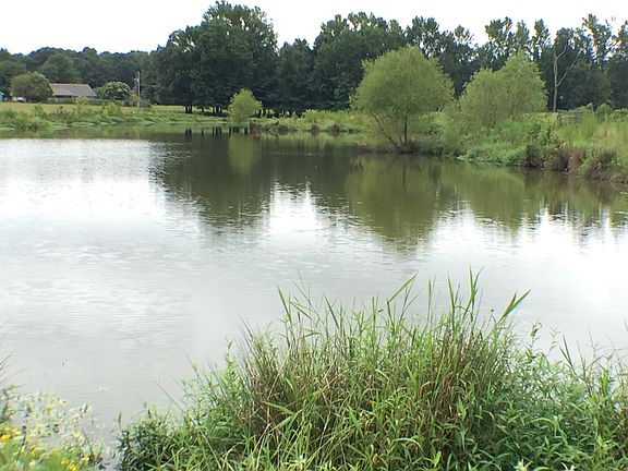 4th image of County Road 1451