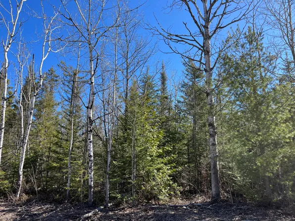 L-251 252 Pineview Dr, Presque Isle, MI 49777