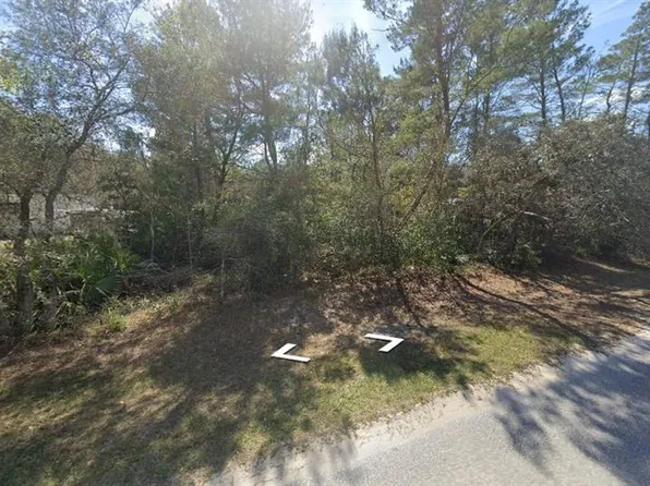 0 Hibiscus Ave #41, Paisley, FL 32767