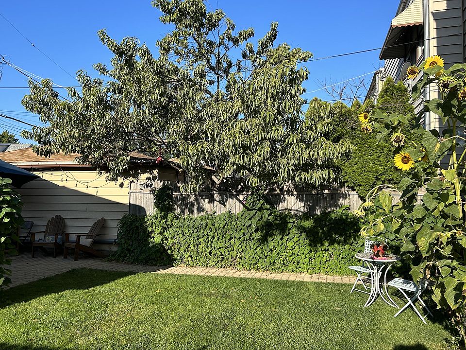 View of peach tree and annual sun flowers.