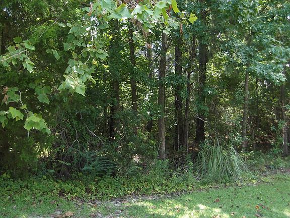 3rd image of 71 Shade Tree Lane SW LOT L-20 and L-12