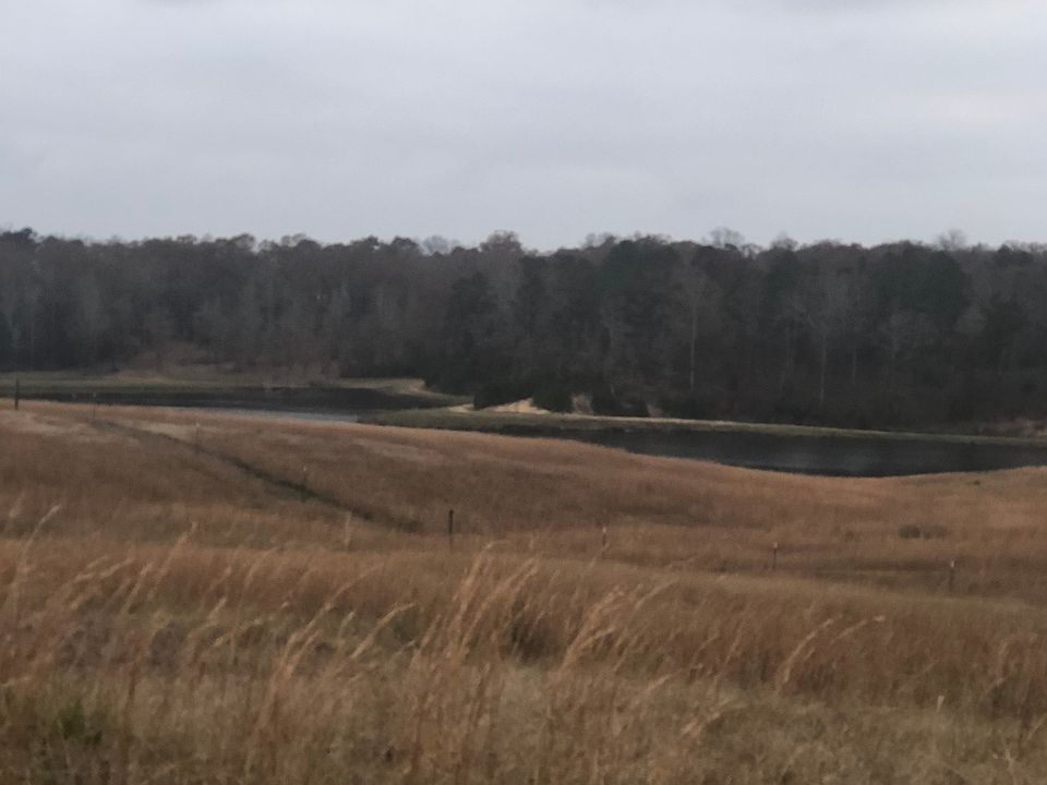 2nd image of 8 Peach Tree Dr