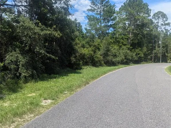 Forest Dr Lot 2, Eustis, FL 32736