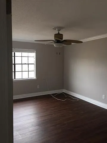 805 Champagne Dr — Photo 12