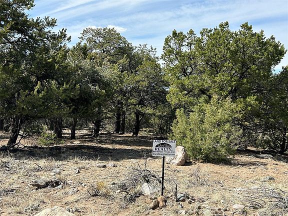 5th image of 3545 Fallen Tree Place