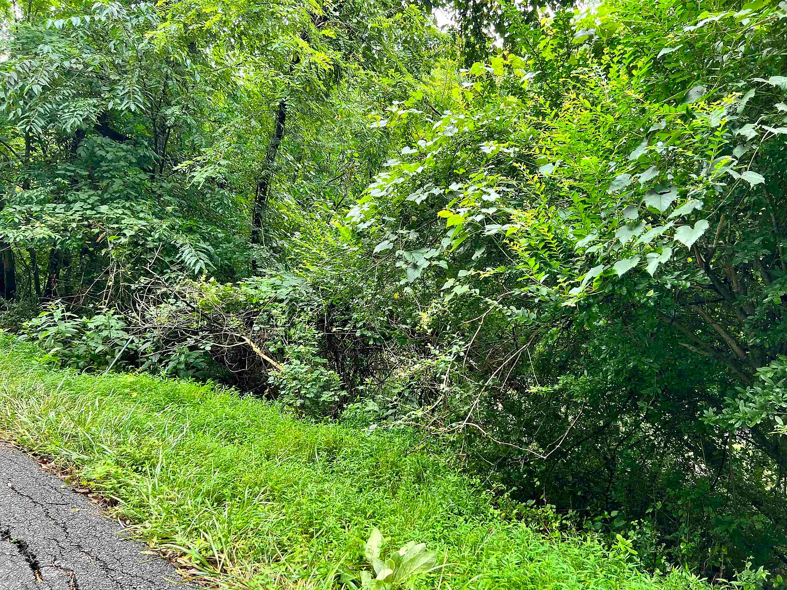 1662 Cook School Rd photo 1