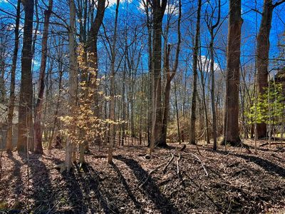 849 Terrace View Dr, Howard, OH, 43028