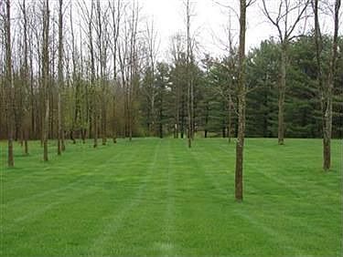 2nd image of 12090 Pheasant Ct