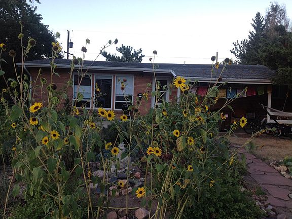 Front yard