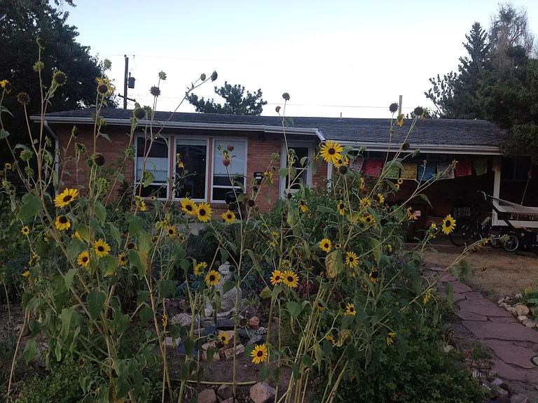 Front yard