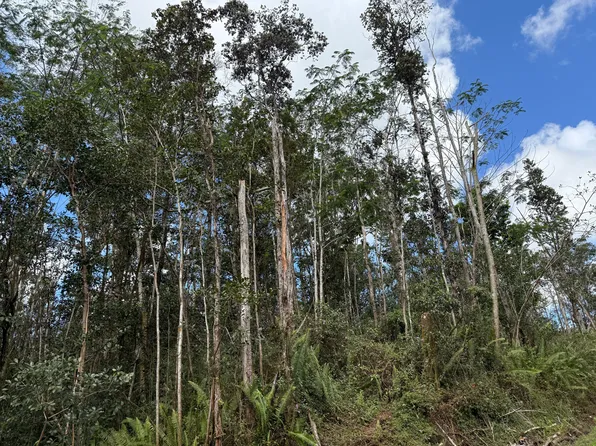 13-3360 Nohea St Lot 92, Pahoa, HI 96778