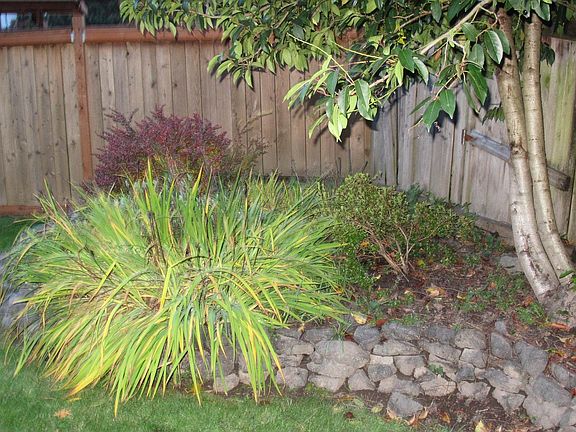 Gorgeous Landscaping