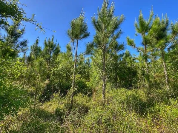 NW 77th Pl, Chiefland, FL 32626
