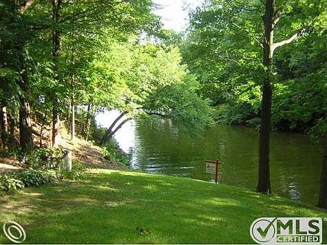 TREED WATERFRONT