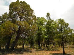 4839 Horseshoe Dr, Happy Jack, AZ 86024