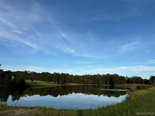 LOT 4 Chesson Ct, Fitzpatrick, AL 36029