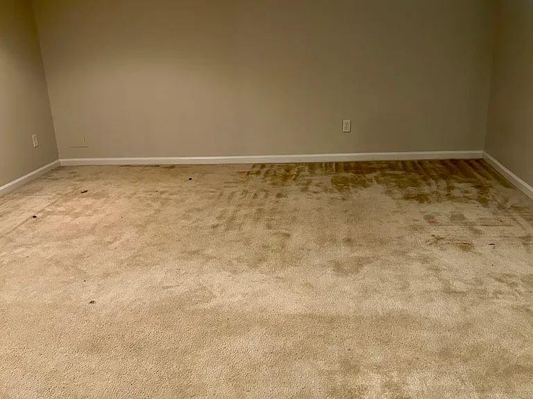 4512 Ledge Ct — Photo 8