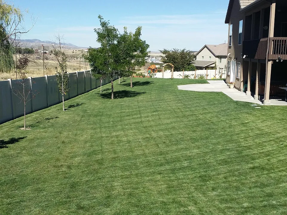 Views of the Backyard