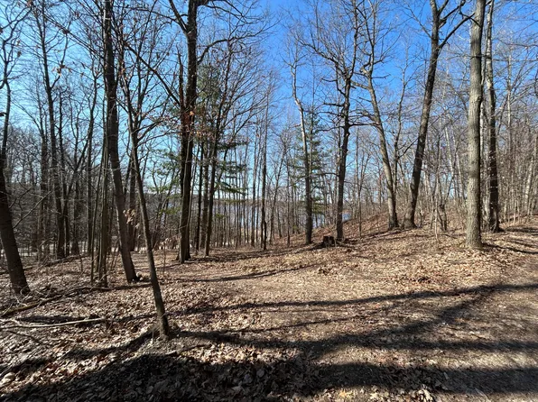 Hill View Dr, Six Lakes, MI 48886