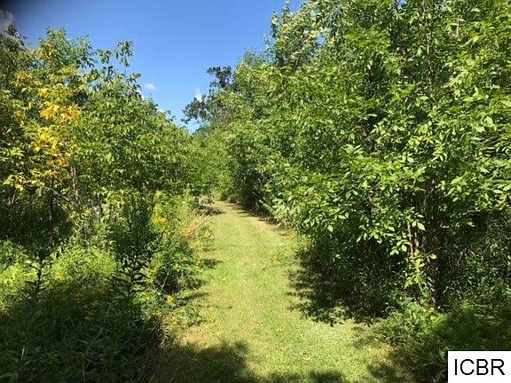 5th image of 41867 County Road 336