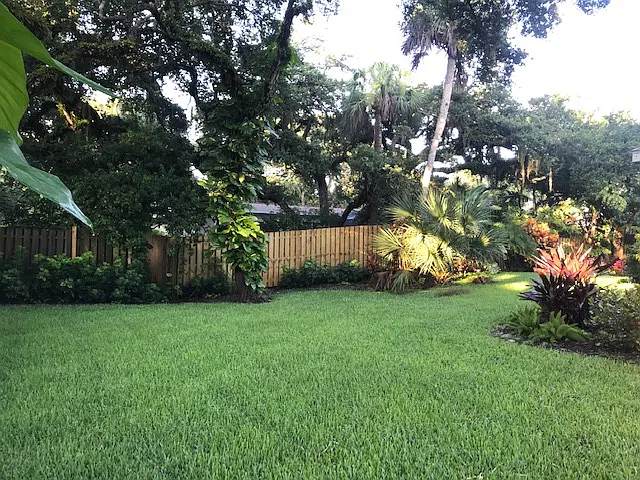 328 Live Oak Rd — Photo 4