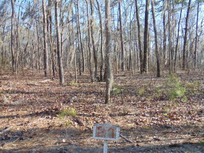 21 Parklin Ln, Elloree, SC, 29047