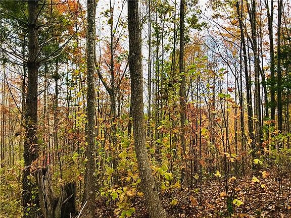 3rd image of LOT-204B Johns Ridge Pkwy Lot 204B