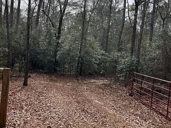 5th image of Tbd Sycamore Lane