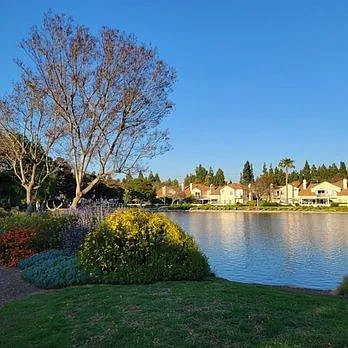 1 bed, 520 sqft, $2,200 — Photo 4