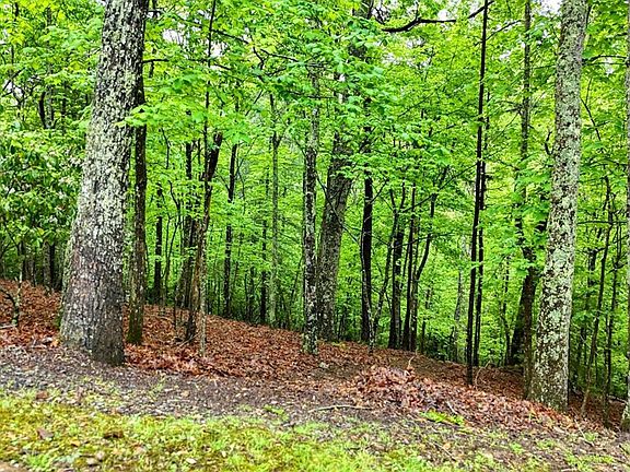 2nd image of 3410 Moccasin Creek Road