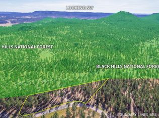 11767 Caledonia Trl, Custer, SD 57730