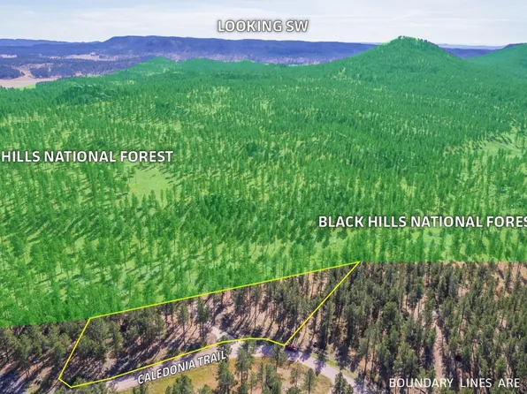 11767 Caledonia Trl, Custer, SD 57730