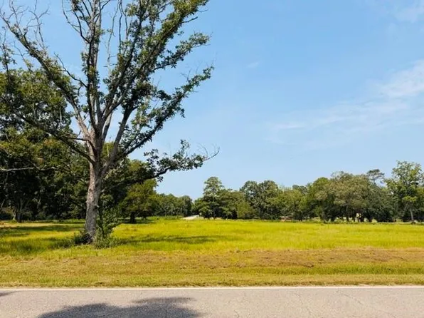 0 Driskell Loop Rd W, Wilmer, AL 36587