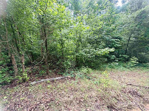 3rd image of 28 & 29 Pleasant Ridge Loop