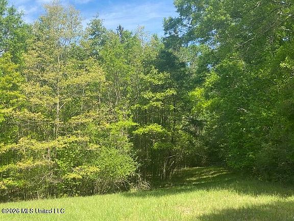 3rd image of Moaks Creek Rd