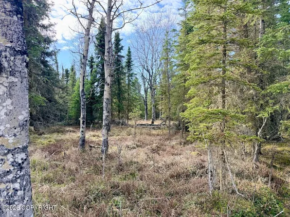 23855 Herrin Cir, Kasilof, AK 99610