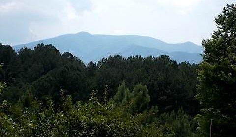 5th image of 178 Tanasi Dr
