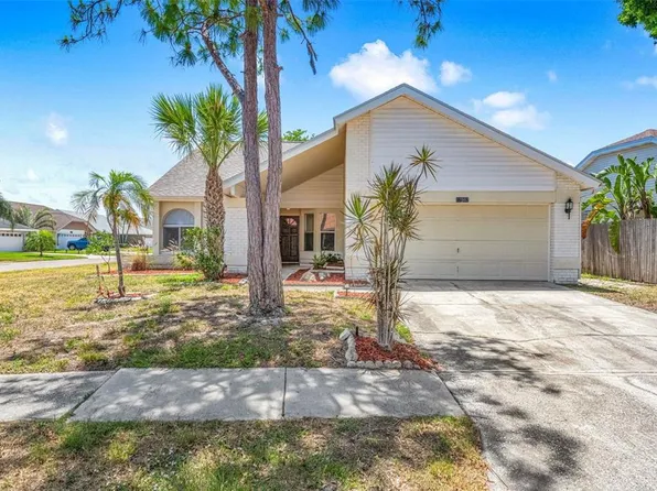 12002 Peony Ct, Tampa, FL 33635
