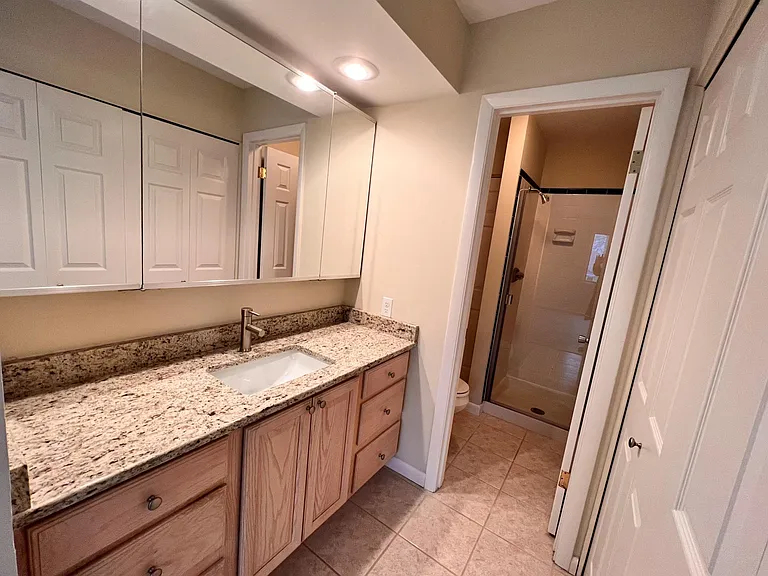 Primary Bathroom dressing area