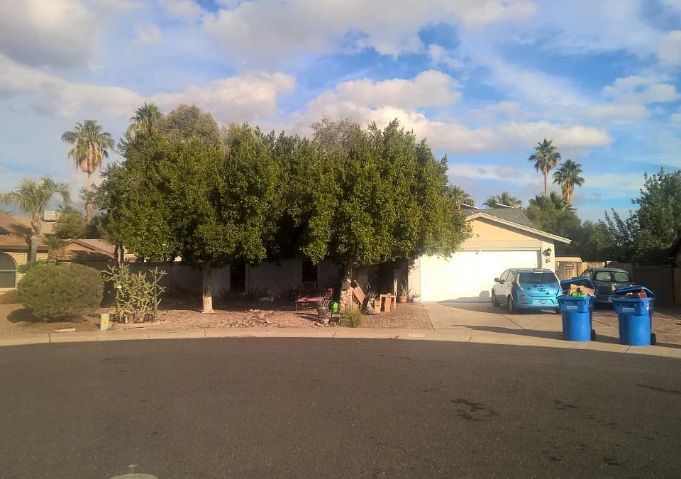 Front of house at a cul de sac with two big trees providing