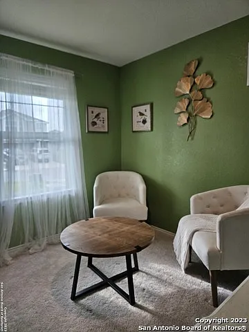 535 Wild Olive Way — Photo 21