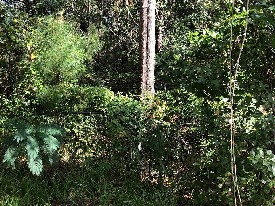2nd image of 0 DUNN CREEK CEMETERY Road