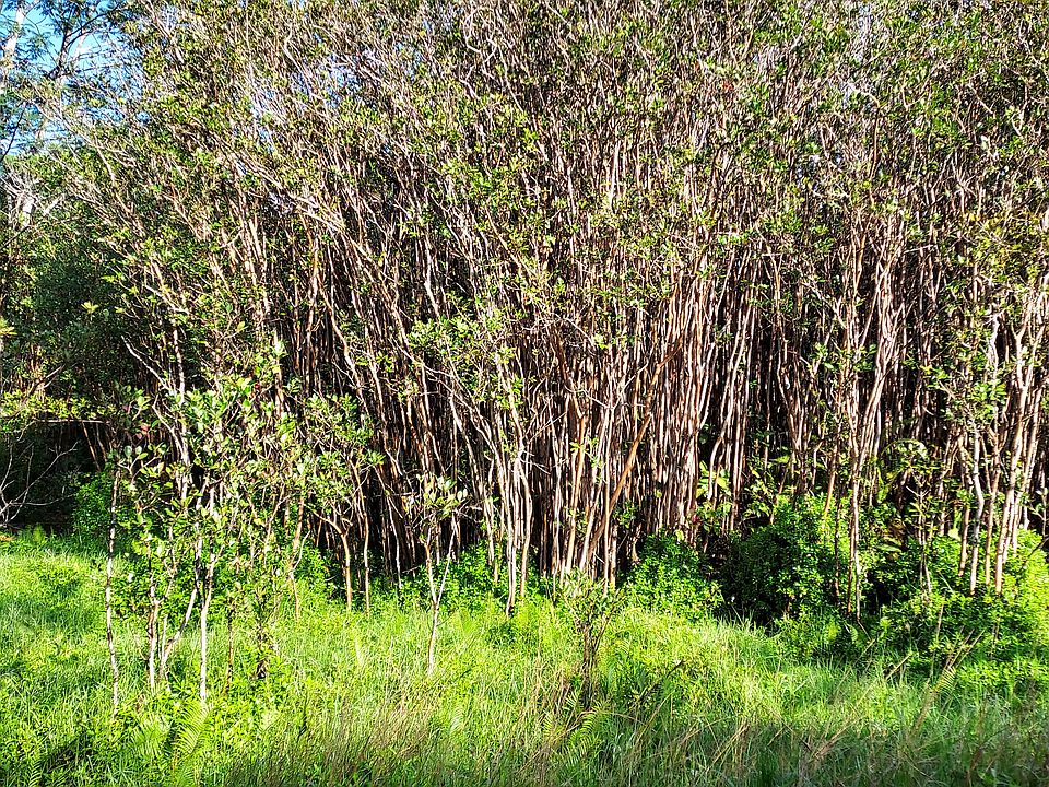1st image of Road 10 Poouli Lot 5812