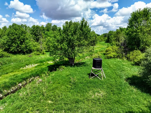 S Ainger Rd, Olivet, MI 49076