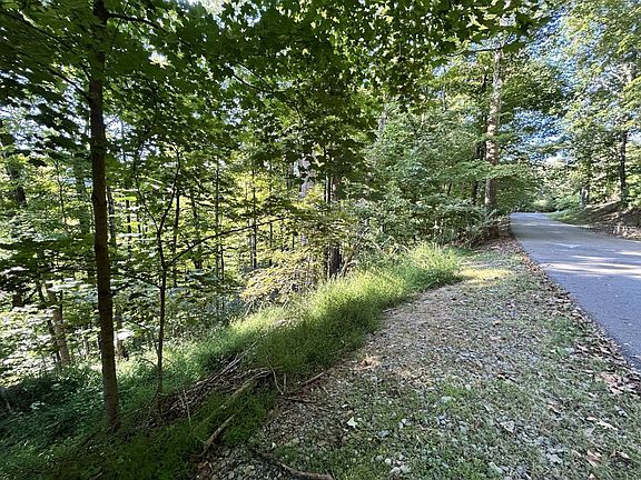 4th image of 0 Hickory Ridge Rd