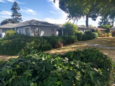 1597 Curtner Ave, San Jose, CA, 95125