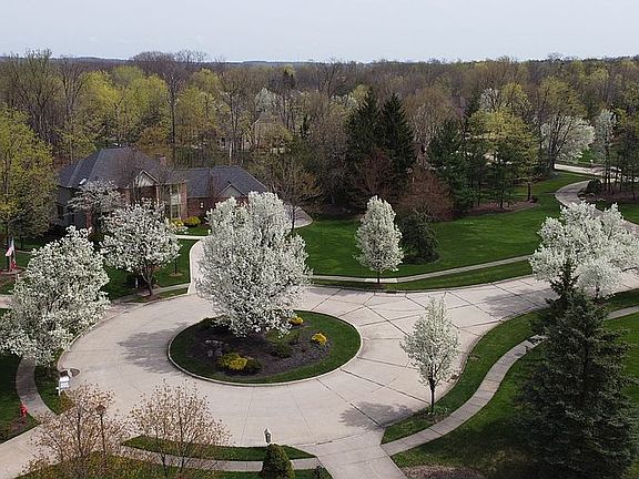 Flowering development trees